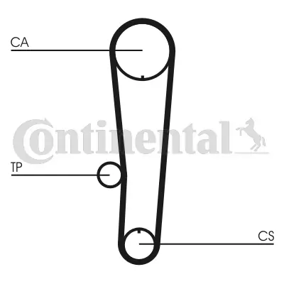 Timing Belt